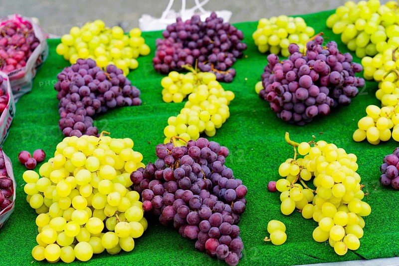 Farmers' market on Münsterplatz, Stall, Ulm, Baden-Württemberg, Germany, Europe, Fresh green and purple grapes on a market stall