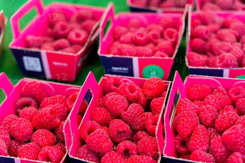 Farmer's market on Münsterplatz, Stall, Ulm, Baden-Württemberg, Germany, Europe, Fresh raspberries in pink boxes at a market