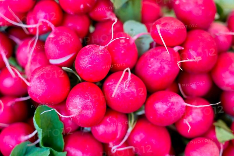 Farmers' market on Münsterplatz, Stall, Ulm, Baden-Württemberg, Germany, Europe, Fresh red radishes in a bundle