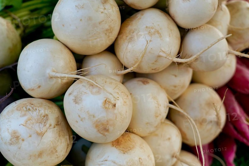 Farmer's market on the Münsterplatz, stall, Ulm, Baden-Württemberg, Germany, Europe, pile of white turnips, freshly harvested and stacked on top of each other with details of the structure