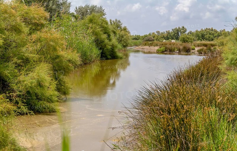 Riparian scenery around the Regional Nature Park of the Camargue in Southern France