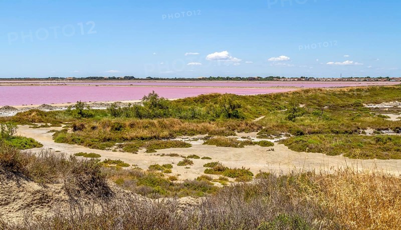 Scenery around Salin-de-Giraud located in in the Camargue area in southern France wich is showing lots of salt evaporation ponds in sunny ambiance