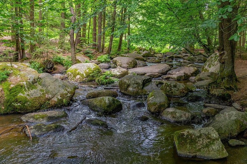 Impression at the idyllic nature reserve named Hoelle in the Bavarian Forestin Southern Germany at summer time
