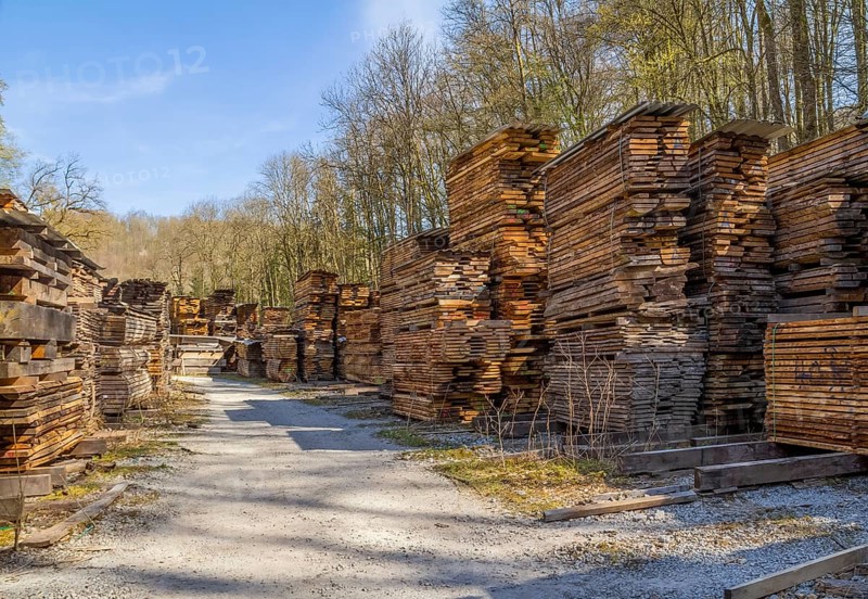 Lots of stacked wooden boards on a lumber yard in sunny ambiance