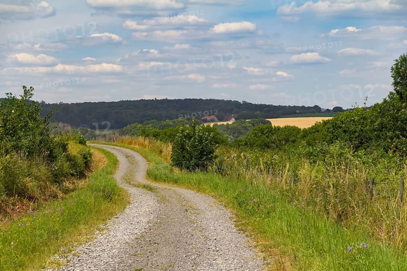 Idyllic rural scenery around the Jagst Valley in Hohenlohe, a district in Southern Germany at summer time