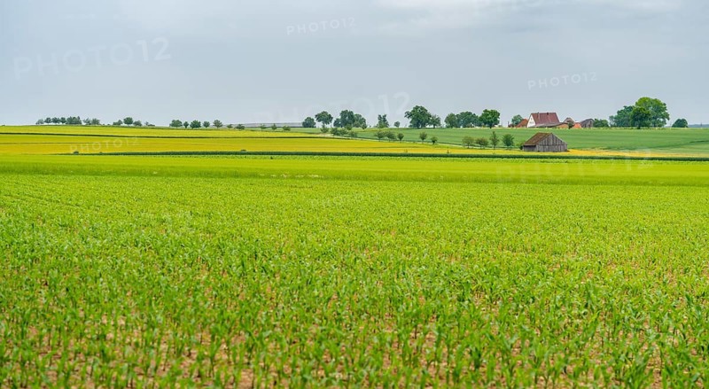 Idyllic rural scenery in Hohenlohe, a area in Southern Germany