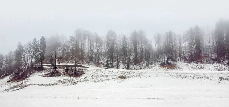 Roadside scenery at the Berchtesgadener Land in Bavaria, Germany at winter time