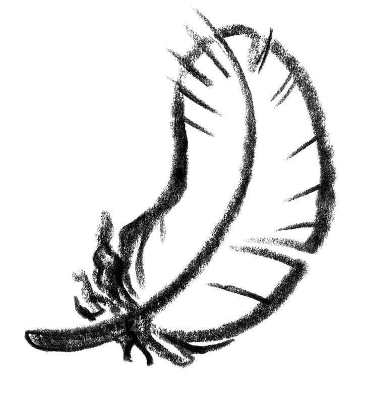 Crayon-sketched illustration of a down feather