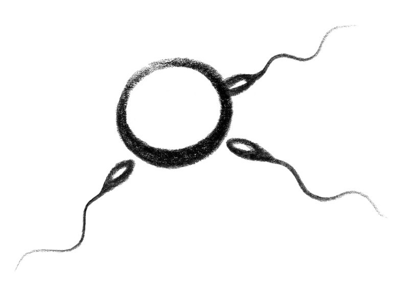 Crayon-sketched illustration of a impregnation