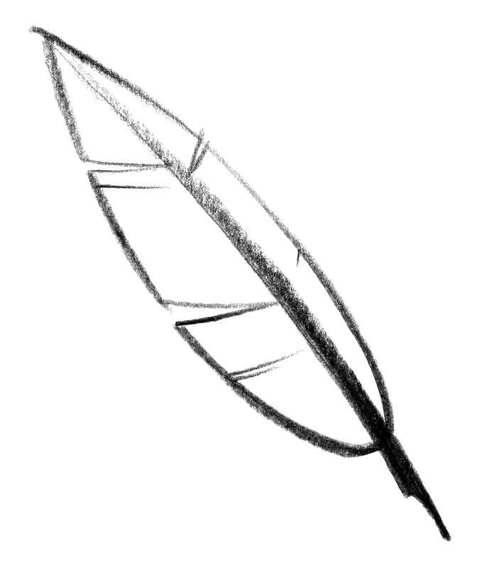 Crayon-sketched illustration of a quill