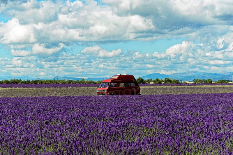 Red motorhome standing in a wide lavender field under a cloudy sky, Provence, Département Alpes-de-Haute-Provence, Region Provence-Alpes-Côte dAzur, South of France, France, Europe, No AI