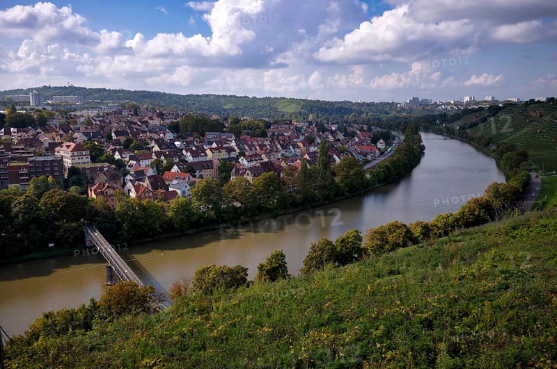 Neckar river loops along vineyard, vines, grapevines, wine growing, district Münster, Freiberg, Stuttgart, Baden-Württemberg, Germany