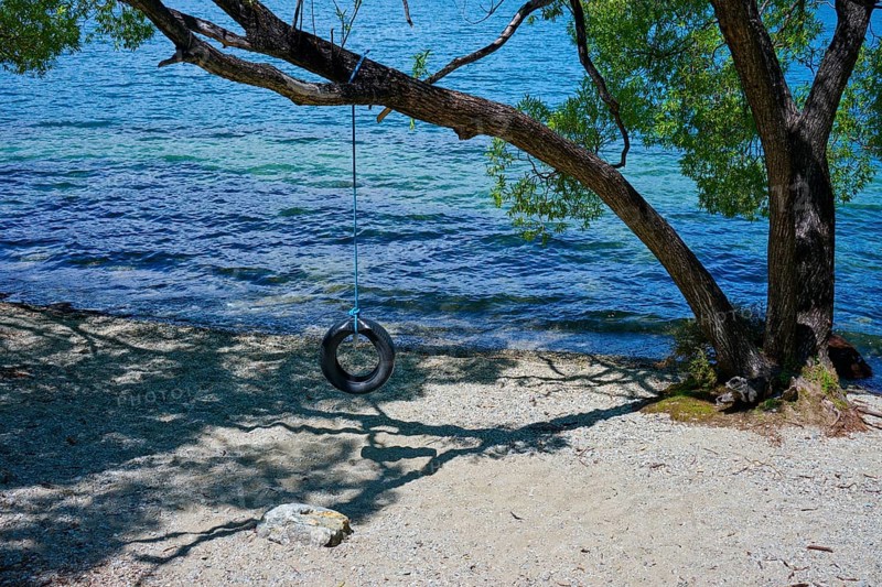 Tyre swing on a tree above a lake shore with water view, Queenstown, Queenstown-Lakes District, Otago, South Island, New Zealand
