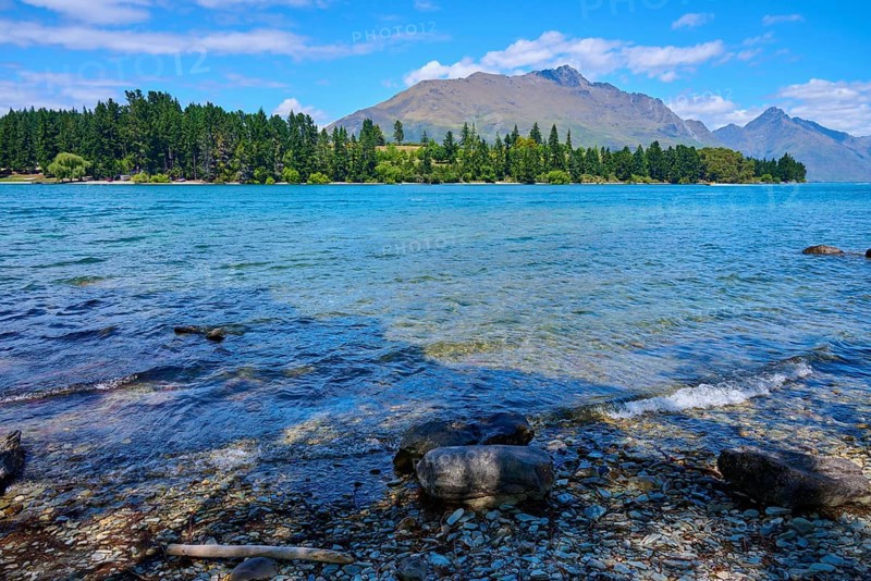 Waves on the lakeshore in front of mountain landscape and forested background, Queenstown, Queenstown-Lakes District, Otago, South Island, New Zealand