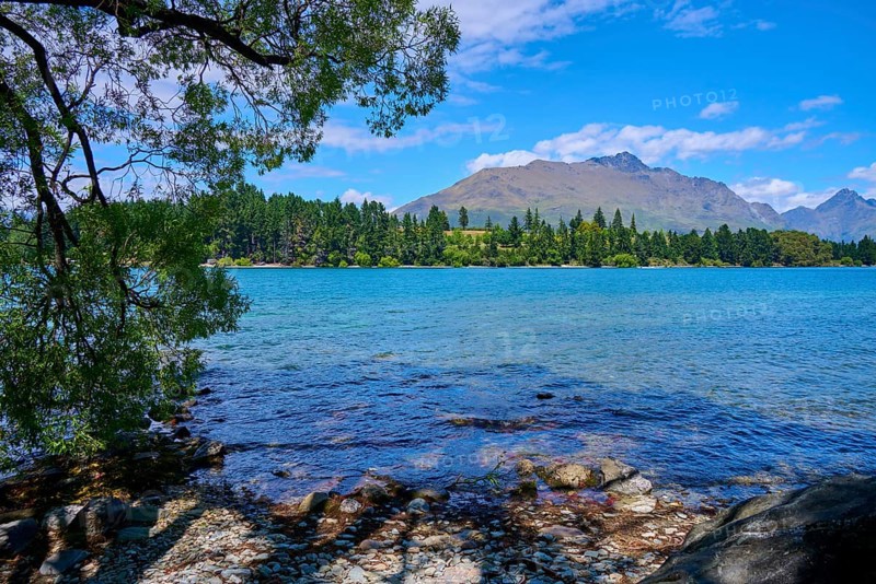 Clear lakeshore with view of mountains and forest in the background, Queenstown, Queenstown-Lakes District, Otago, South Island, New Zealand
