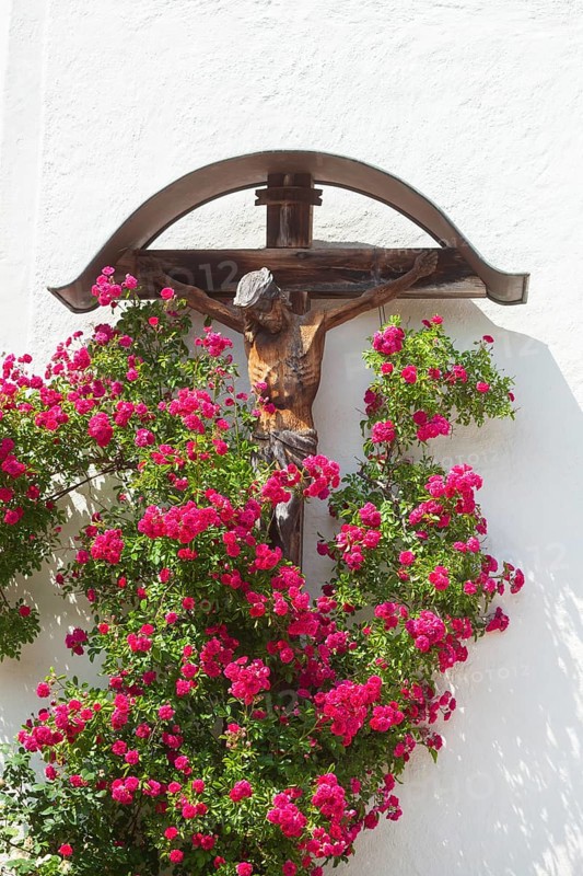 Crucifix with roses at the church of St. Ägidius and Nikolaus, Grainbach, Samerberg, Chiemgau, Upper Bavaria, Bavaria, Germany