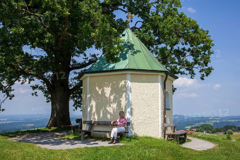 Lookout chapel with Luitpoldeiche, near Törwang, Samerberg, Chiemgau, Upper Bavaria, Bavaria, Germany