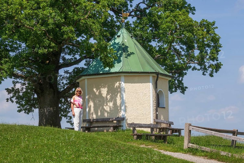 Lookout chapel with Luitpoldeiche, near Törwang, Samerberg, Chiemgau, Upper Bavaria, Bavaria, Germany