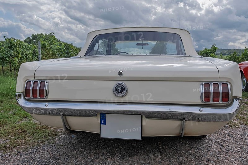 Rear view Ford Mustang, Southern Palatinate, Palatinate, Rhineland-Palatinate, Germany