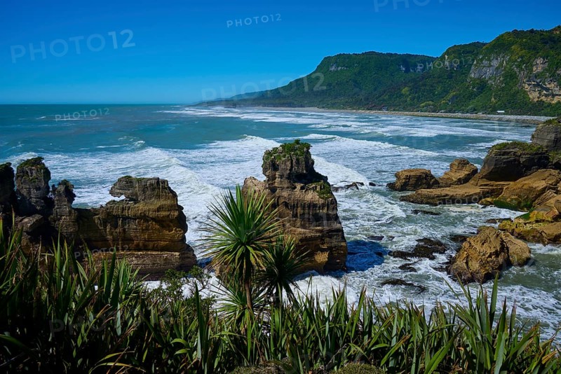 Coastal landscape with rocks, lush vegetation and sweeping sea views, Pancake Rocks, Westport, Greymouth, West Coast, South Island, New Zealand