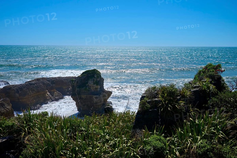 Coastline with lush vegetation and rocks at the edge of the sea, Pancake Rocks, Westport, Greymouth, West Coast, South Island, New Zealand