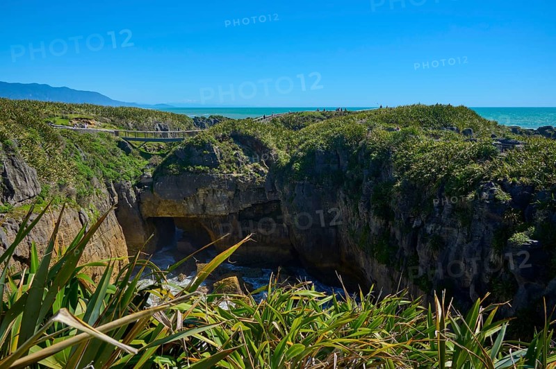 Path with bridge along the coast over green cliffs with sea view, Pancake Rocks, Westport, Greymouth, West Coast, South Island, New Zealand