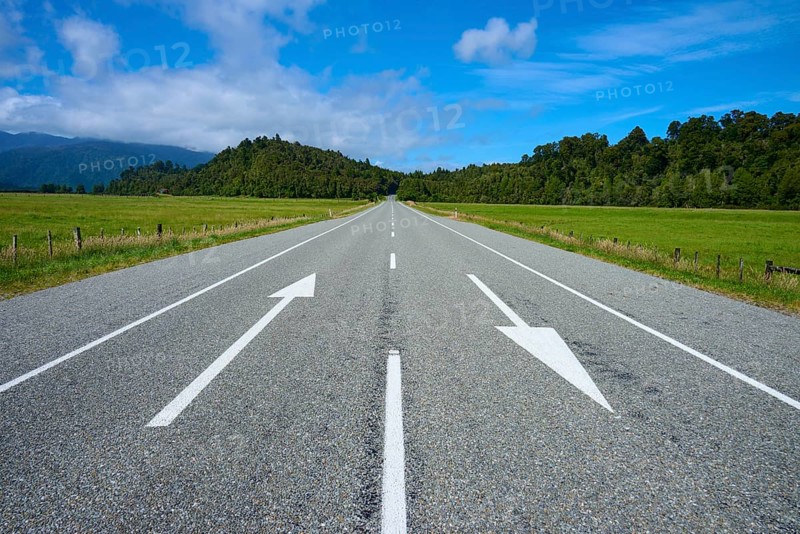 Straight country road with arrows, flanked by green fields and forest, West Coast, South Island, New Zealand