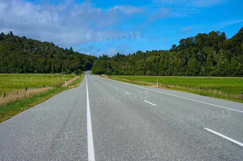 Empty road through rural fields and forests under a clear sky, West Coast, South Island, New Zealand