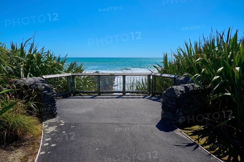 Plants flanking a platform overlooking the sea, framed by a clear blue sky, Pancake Rocks, Westport, Greymouth, West Coast, South Island, New Zealand