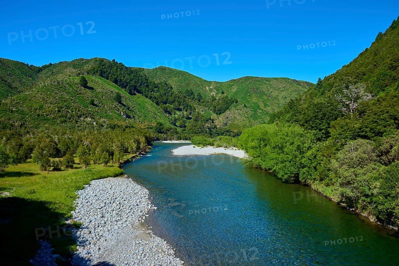 Extensive river course through green mountains under a clear sky, Buller River, Murchison, Tasman, South Island, New Zealand