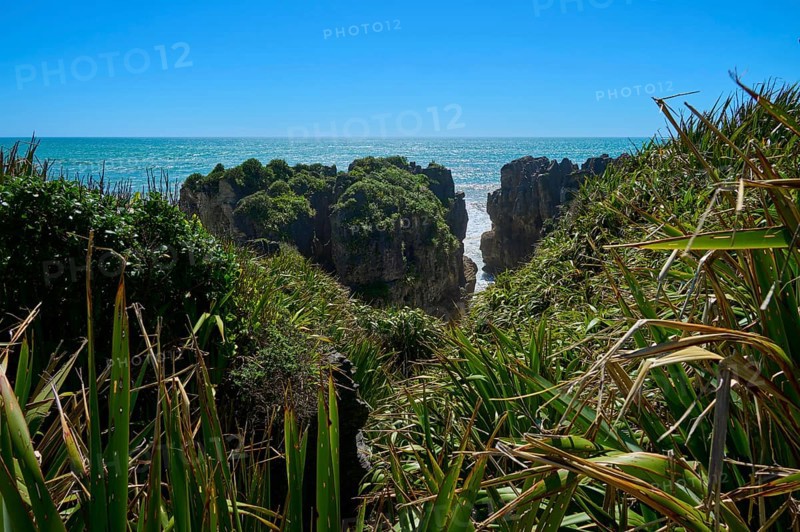 Cliffs with lush plants provide a view of the open sea and clear sky, Pancake Rocks, Westport, Greymouth, West Coast, South Island, New Zealand