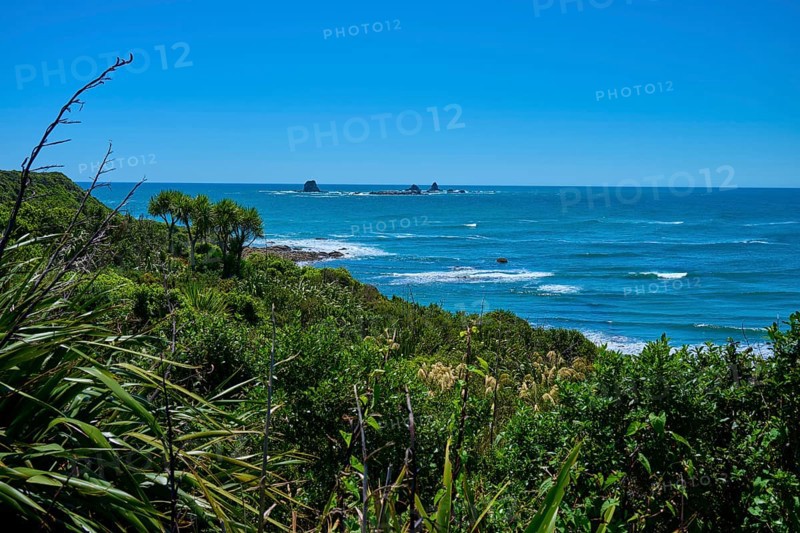 View of the coast with lush vegetation and waves, Cape Foulwind, West Coast, South Island, New Zealand