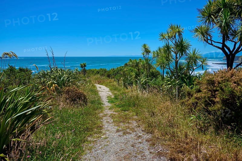 A path leads through the lush vegetation to the coast, Cape Foulwind, West Coast, South Island, New Zealand
