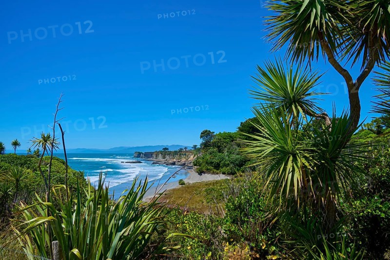 Coastal landscape with trees and sea view, Cape Foulwind, West Coast, South Island, New Zealand