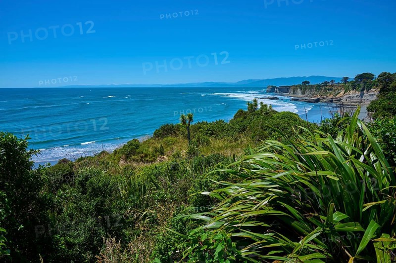 Lush vegetation against a vast ocean backdrop, Cape Foulwind, West Coast, South Island, New Zealand