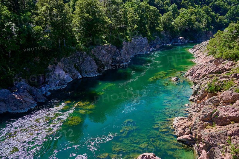 Emerald green river surrounded by rocks and dense forest, Buller River, Murchison, Tasman, South Island, New Zealand