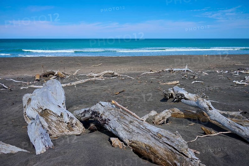 Tranquil coastal landscape with driftwood and calm sea views, Mana Bay, Patea, Taranaki, North Island, New Zealand