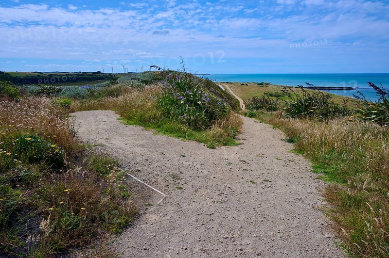 A sandy path leads through grassland to the distant sea under a blue sky, Mana Bay, Riverview Lookout, Patea, Taranaki, North Island, New Zealand