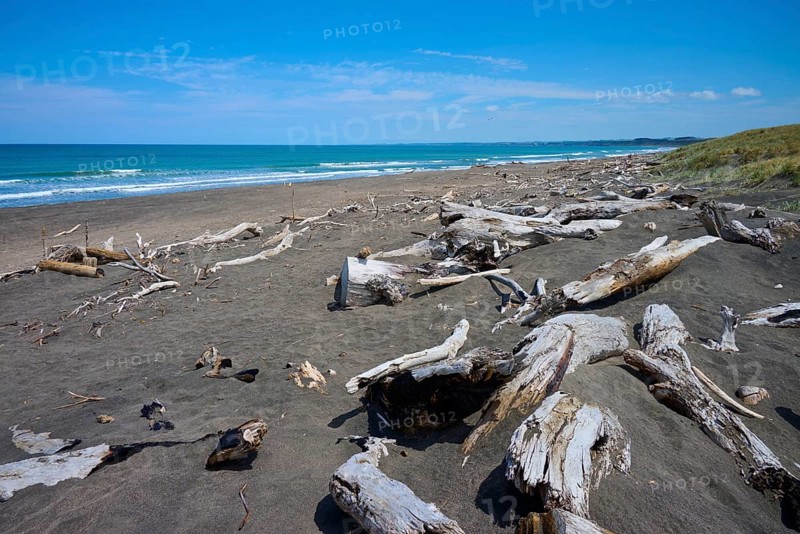 A wide beach with driftwood and a view of the calm ocean, Mana Bay, Patea, Taranaki, North Island, New Zealand
