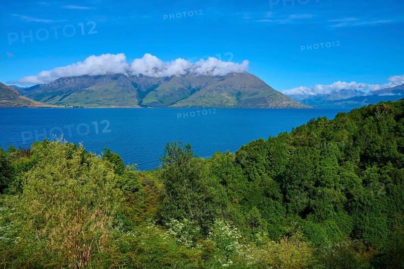 Lush green landscape with mountains in the background and a blue lake, Drift Bay, Lake Wakatipu, Queenstown-Lakes District, Otago, South Island, New Zealand