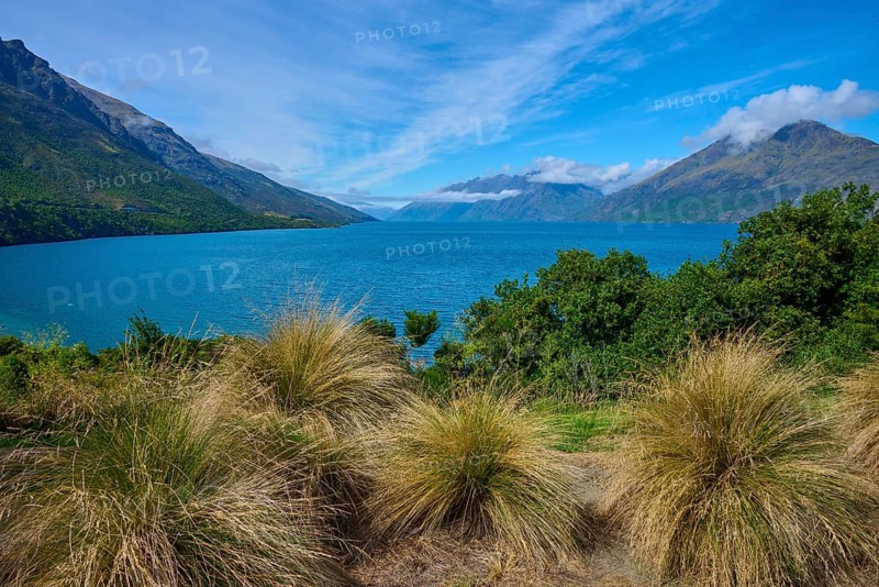 Tall grasses in the foreground with a view of a lake and surrounding mountains, Drift Bay, Lake Wakatipu, Queenstown-Lakes District, Otago, South Island, New Zealand