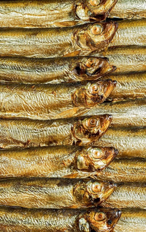 Detail shot showing lots of fresh smoked sprats