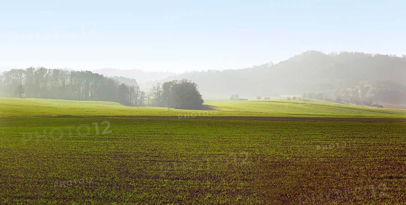 Rural landscape in Hohenlohe, an area in Southern Germany
