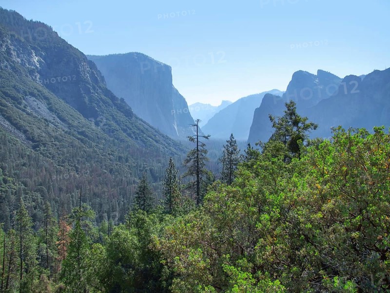 Idyllic panoramic view at the Yosemite National Park in California, USA