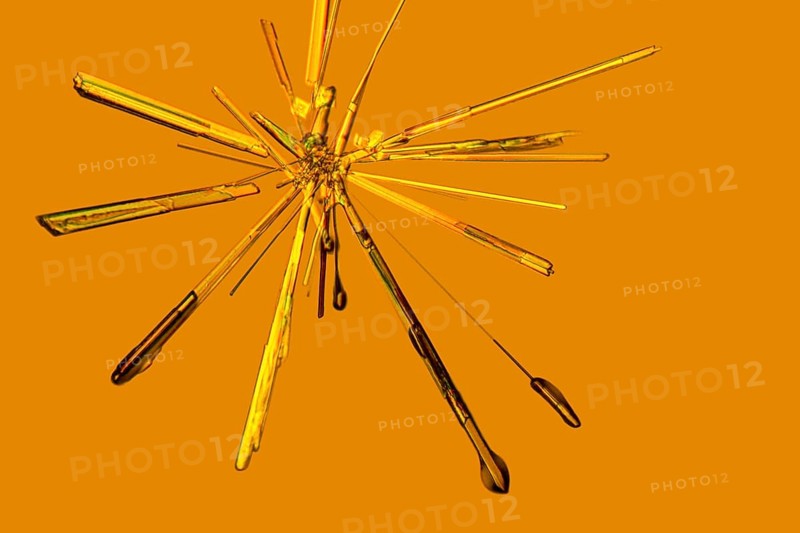 Microscopic shot if some Iron (III) chloride microcrystals in fluid ambiance
