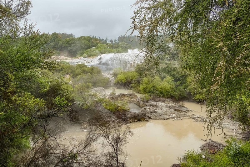 Scenery around the Geothermal Valley Te Puia in New Zealand