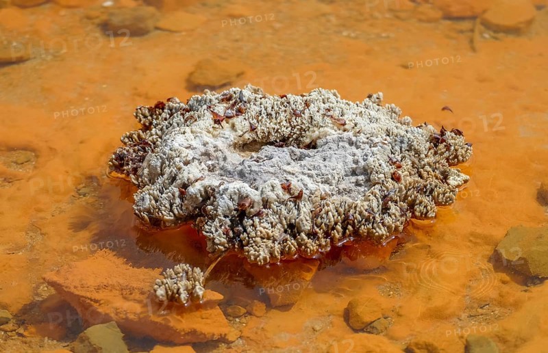 Detail of the Champagne Pool at a geothermal area named Waiotapu in New Zealand