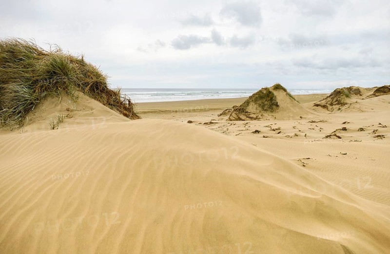 Scenery around the Ninety Mile Beach at the western coast of the North Island of New Zealand
