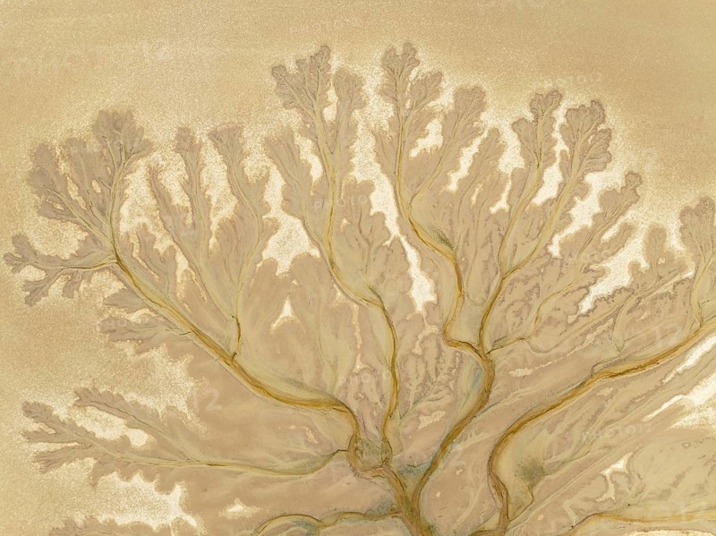 Abstract patterns at low tide in the marshland of the Nature Reserve La Breña y Marismas del Barbate. Aerial view. Drone shot. Cádiz province, Andalusia, Spain