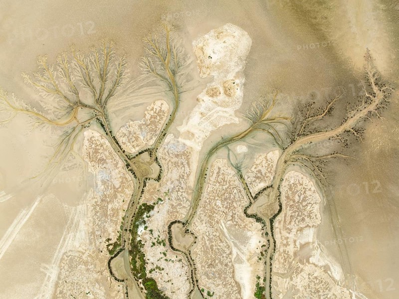 Abstract patterns at low tide in the marshland of the Nature Reserve La Breña y Marismas del Barbate. Aerial view. Drone shot. Cádiz province, Andalusia, Spain
